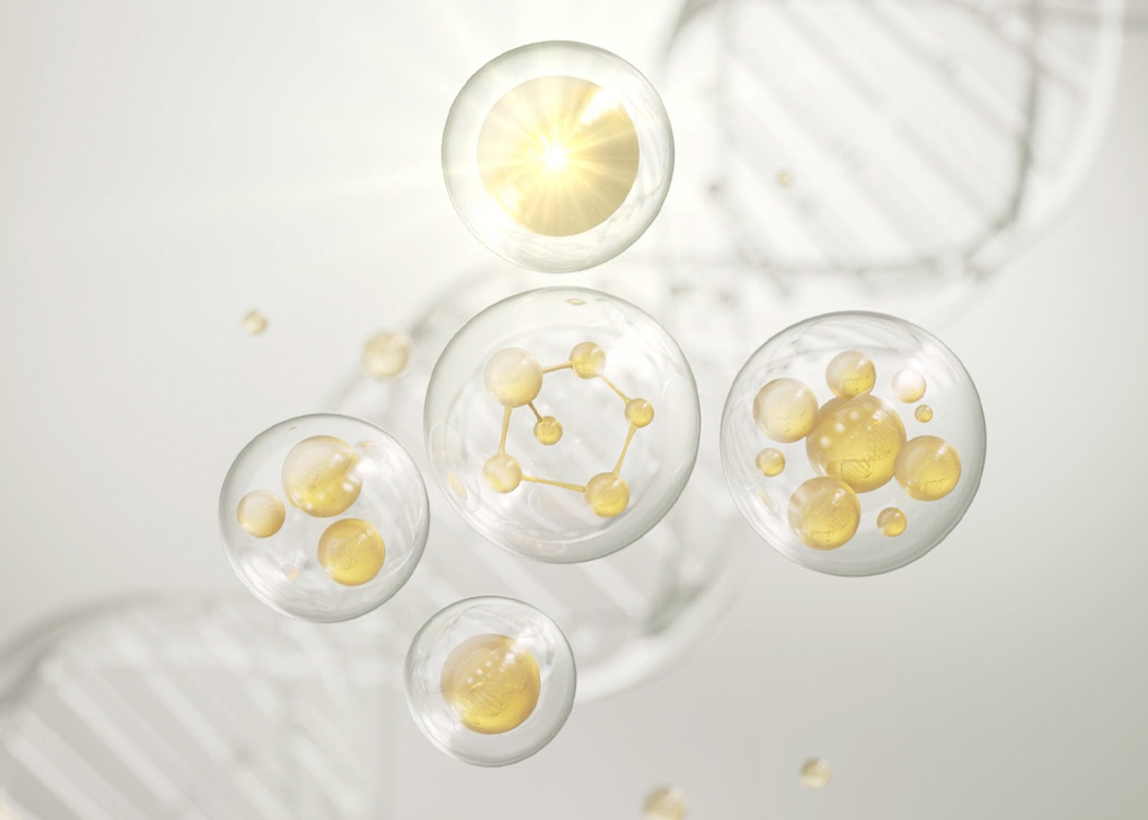 Fresh stem cell therapy フレッシュ幹細胞治療で身体の可能性を引き出す