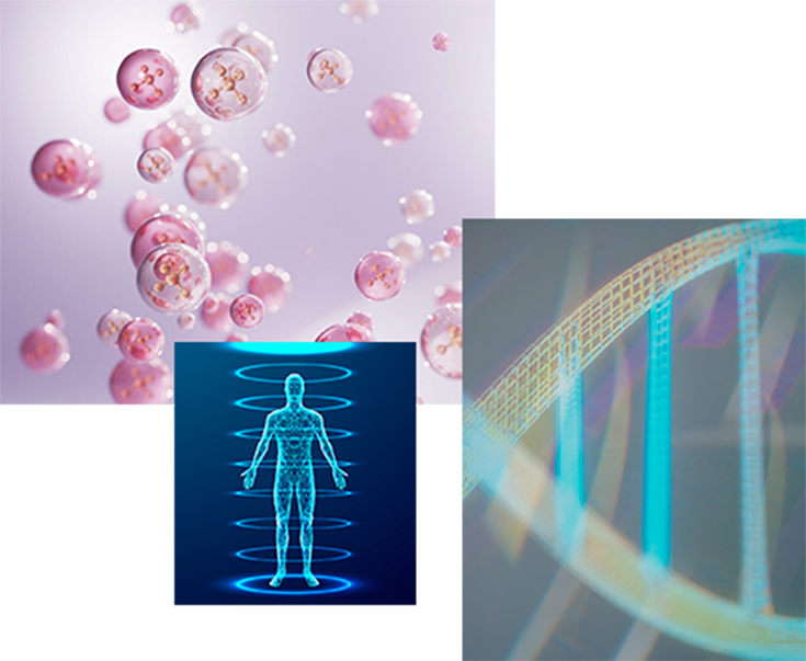 Concept 私たちの考える医療